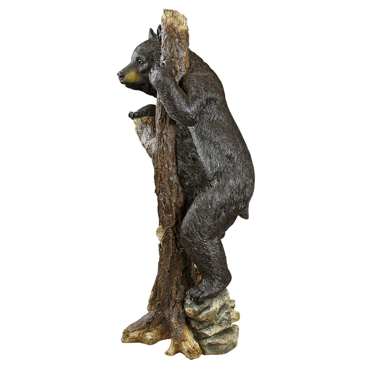 Image Thumbnail for Dt Bashful Bear Cub Statue